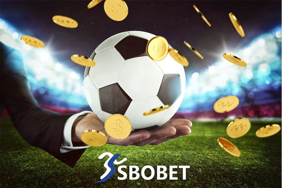 Những lý do vì sao nên chọn Shbet để tham gia đặt cược SBOBET